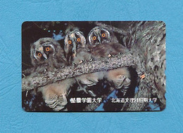 ( 5642 ) - Télécarte JAPON - ( Oiseau HIBOU & CHOUETTE ) - *** TBE *** - Voir Scan - Owls