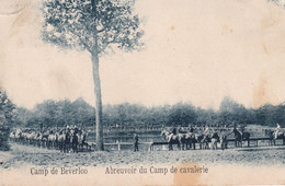 Beverloo - Abreuvoir Du Camp De Cavalerie - Beringen