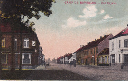Bourg- Léopold - Rue Royale - Beringen