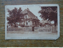 Carte Assez Rare , Wittenheim-cité , Maisons Ouvrières De La Mine Théodore - Wittenheim