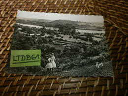 [44] Loire Atlantique > Le Cellier Vue Sur La Vallée De La Loire  Et Le Cotau De La Varenne - Le Cellier