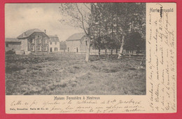 Baelen ( Hertogenwald ) - Maison Forestière à Hestreux - 1905  / Nels Série 98 N° 40 ( Voir Verso ) - Baelen