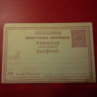 ENTIER TURQUIE - Cartas & Documentos