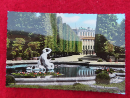 AK: Echtfoto - Schloss Belvedere, Ungelaufen (Nr. 746) - Belvedere