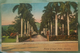 A271 US HAWAII - HONOLULU - AVENUE OF ROYAL PALMS 1925 TO BELGIUM PUBLISHED BY THE PARADISE POSTCARD - Honolulu