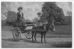 Cpa, Animaux, ANE, Attelage,  Personnage Feminin, "going To Market In Style", Dos Vierge Et Divisé - Donkeys