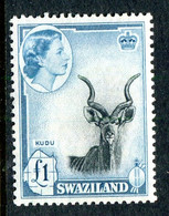 Swaziland 1956 Pictorials - £1 Kudu MNH (SG 64) - Swasiland (...-1967)