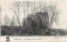 89   Dixmont  -    A L'enfourchure Les Ruines Et La Ferme - Dixmont