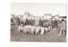 Cpm - Au Début Du Siècle En BOURGOGNE MORVAN AUXOIS NIVERNAIS - La Foire Aux Porcs - - Kermissen