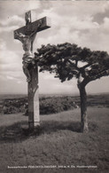 A9843) PERCHTOLDSDORF - NÖ  HOCHBERGKREUZ U. Alter BAUM - - Perchtoldsdorf