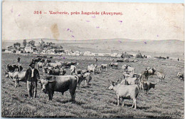 12 Vacherie, Près LAGUIOLE - Laguiole