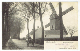 Audenarde - Moulin De Bevere - Attelage De Chien - Hondekar - Oudenaarde