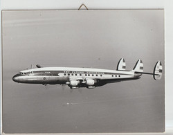 Vintage Photo KLM K.L.M Royal Dutch Airlines Lockheed Constellation L1049 Aircraft Hanging On The Wall - 1919-1938: Entre Guerres