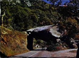 ►  Tunnel Rock Road - Insolite (Pierre Type Menhir) - Sequoia National Park (légère Trace De Pli) - Dolmen & Menhirs