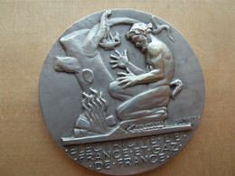 DAF-013 Médaille Bronze (gravée Sur La Tranche) Signée H.Dropsy Electricité Et Gaz De France - Bronzes