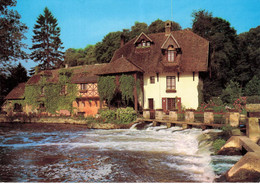 FOURGES - LE MOULIN DE FOURGES DANS LA VALLEE DE L EPTE - Fourges