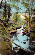 (1 H 23) VERY OLD - UK - Birk Crag - Harrogate  - Posted 1905 - Harrogate