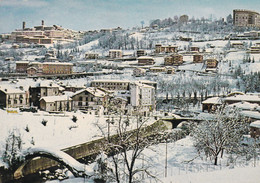 Cartolina - Mondovì ( Cuneo ) Panorama - Cuneo