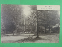 Orp Le Grand Château De Saint-Hubert - Orp-Jauche