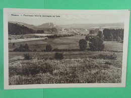 Nismes Panorama Vers La Montagne Au Buis - Viroinval