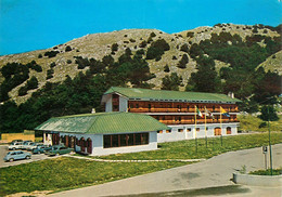 CPSM Campitello Matese-Hotel Kristiania       L1395 - Otros & Sin Clasificación