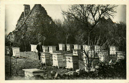 Carlucet * Le Rucher De La Sybadie * GUIRAUDET Apiculteur * Métier Miel Apiculture Ruches - Andere & Zonder Classificatie