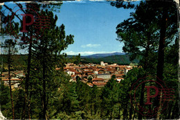 SORIA. NAVALENO. UN NIDO EN EL PINAR. - Soria