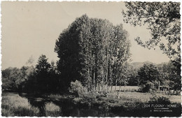 89   Flogny  - Yonne  Bords De L'armancon - Flogny La Chapelle