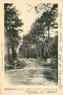 Noirmoutier * 1906 * Allée Des Soupirs , Le Bois De La Chaize - Noirmoutier