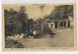 38 Isère Bourgoin Le Jardin De Ville Promenades Ombragées Allée Montant A La Terrasse 1942 - Bourgoin