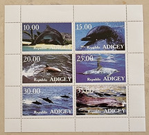 RUSSIE  Dauphins, Dauphin, Dolphin, Delfin . Feuillet 6 Valeurs Emis En 1996 (2)Neuf Sans Charniere. Mnh - Delfines