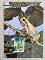 LUXEMBOURG Grenouilles, Grenouille Batraciens. Frog, Ranas.  Yvert N° 1086 Carte Maximum - FDC, 1er Jour - Grenouilles