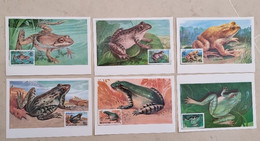 COREE DU NORD Grenouilles, Grenouille Batraciens. Frog, Ranas.  Yvert N° 2319/23+Bf / 6cartes Maximums - FDC, 1er Jour - Ranas