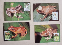 FIDJI Grenouilles, Grenouille Batraciens. Frog, Ranas.  Yvert N° 587/90/  4 Cartes Maximums - FDC, 1er Jour - Frogs