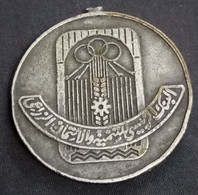 Egypt 1981 , Medal Of Principal Bank For Development & Agricultural , Tokbag - Professionals / Firms