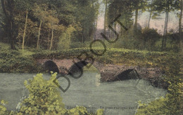 Postkaart/Carte Postale - SINT GENESIUS RODE - Le Pont Rustique Aux 7 Fontaines (C1846) - St-Genesius-Rode