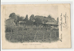 38 Isère Bourgoin Ruines De Beauregard - Bourgoin