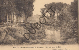 Postkaart/Carte Postale - Halle - Le Bras Méridional De La Senne (C1885) - Halle