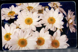 ROMANIA 2001 PHONECARDS FLOWERS USED VF!! - Fleurs