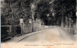 95 BUTRY-VALMONDOIS - L'allée Des Violaines - Butry
