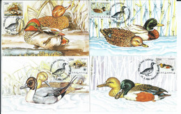 Yugoslavia - 4 X Maximum Cards FD Skopje,Macedonia Postmark RARE - 1989 World Wildlife Fund - Birds / Ducks.WWF - Cartes-maximum