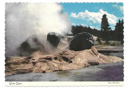 WY - WYOMING  --  YELLOWSTONE - GROTTO GEYSER - Yellowstone