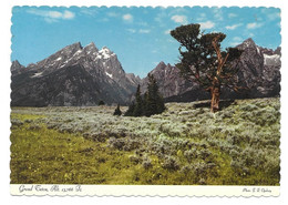 WY - WYOMING  --  YELLOWSTONE - GRAND TETON - Yellowstone