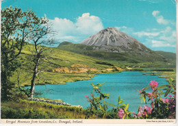 Errigal Mountain From Gweedore Co Donegal édition John Hinde - Donegal