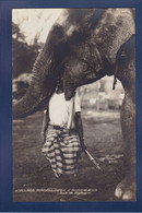 CPA éléphant Non Circulé Village Hindou Indes Bois De Boulogne Non Circulé - Elephants