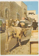 AK 043920 PALESTINE - Bethlehem - Palestine