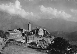 20-MONTEMAGGIORE- UNE VUE - Autres & Non Classés