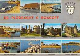 29 - De Plouescat à Roscoff - Multivues - Plouescat