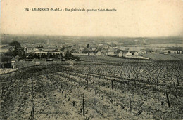 Chalonnes Sur Loire * Vue Générale Du Quartier St Maurille * Vignes Vignoble - Chalonnes Sur Loire