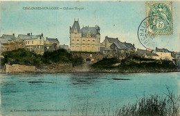 Chalonnes Sur Loire * Vue Sur Le Château Hoquet - Chalonnes Sur Loire